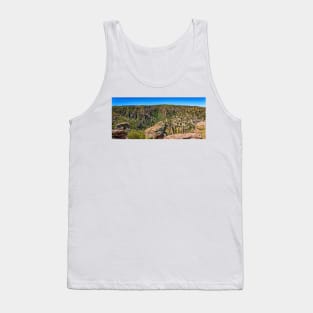 Chiricahua National Monument Tank Top